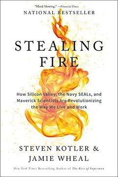 portada Stealing Fire: How Silicon Valley, the Navy Seals, and Maverick Scientists are Revolutionizing the way we Live and Work (in English)