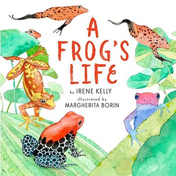 portada A Frog'S Life (en Inglés)