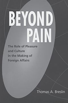 portada Beyond Pain: The Role of Pleasure and Culture in the Making of Foreign Affairs (Praeger Studies on Ethnic and National Identities in Politics)