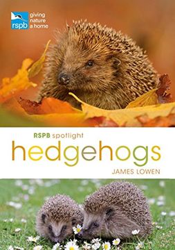 portada Rspb Spotlight Hedgehogs