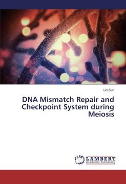 portada DNA Mismatch Repair and Checkpoint System during Meiosis