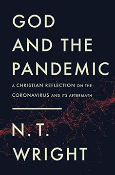 portada God and the Pandemic: A Christian Reflection on the Coronavirus and its Aftermath (en Inglés)