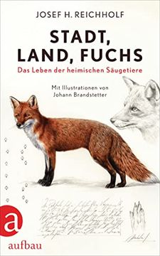 portada Stadt, Land, Fuchs: Das Leben der Heimischen Säugetiere (en Alemán)