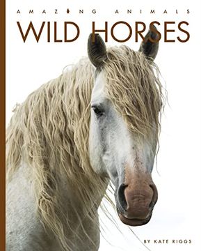 portada Wild Horses (Amazing Animals) (in English)