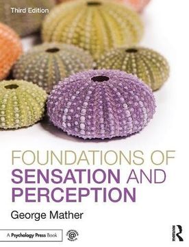 portada Foundations of Sensation and Perception (Zones of Religion) (in English)