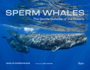 portada Sperm Whales: The Gentle Goliaths of the Ocean (en Inglés)