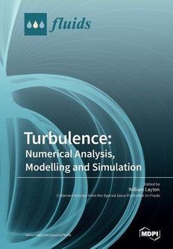 portada Turbulence: Numerical Analysis, Modelling and Simulation (en Inglés)