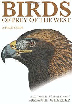 portada Birds of Prey of the West: A Field Guide (en Inglés)