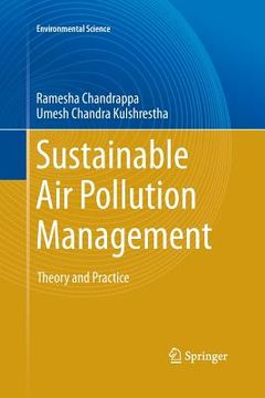 portada Sustainable Air Pollution Management: Theory and Practice (en Inglés)