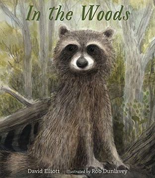 portada In the Woods (en Inglés)