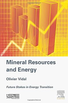portada Mineral Resources and Energy: Future Stakes in Energy Transition (en Inglés)