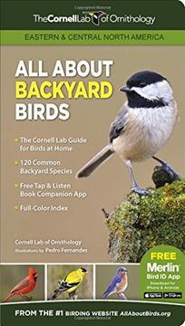 portada All About Backyard Birds: Eastern & Central North America (en Inglés)