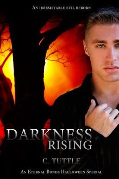 portada Darkness Rising (in English)