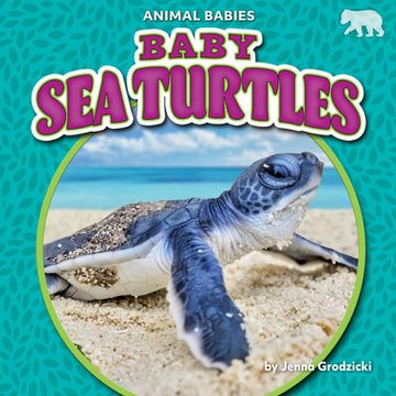 portada Baby Sea Turtles (en Inglés)