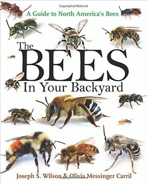 portada The Bees in Your Backyard: A Guide to North America’s Bees (in English)