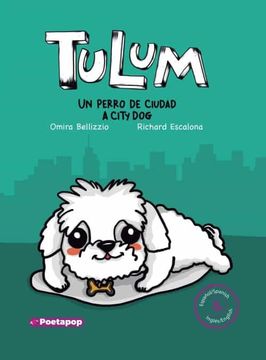 portada Tulum un perro de ciudad / Tulum a city dog