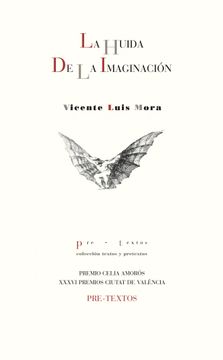 portada La Huida de la Imaginación (in Spanish)
