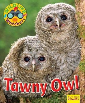 portada Wildlife Watchers: Tawny Owl (Ruby Tuesday Readers)