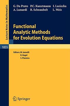 portada functional analytic methods for evolution equations (en Inglés)