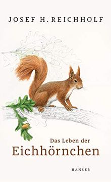 portada Das Leben der Eichhörnchen (in German)