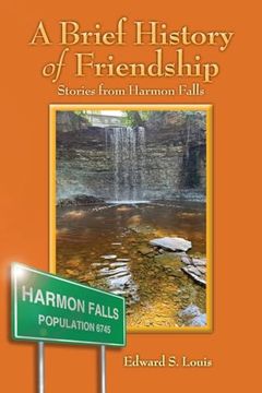portada A Brief History of Friendship: Stories From Harmon Falls (en Inglés)