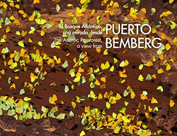portada The Atlantic Rainforest, a View From Puerto Bemberg