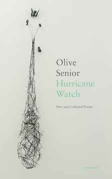 portada Hurricane Watch: New and Collected Poems (en Inglés)