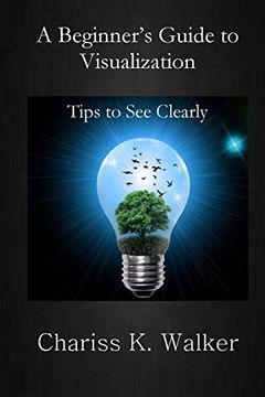 portada A Beginner's Guide to Visualization: Tips to see Clearly (en Inglés)