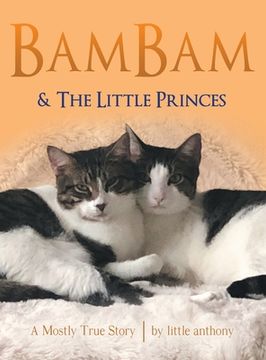 portada Bambam & the Little Princes: A Mostly True Story (in English)