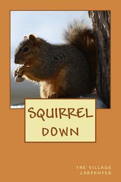 portada Squirrel Down (en Inglés)