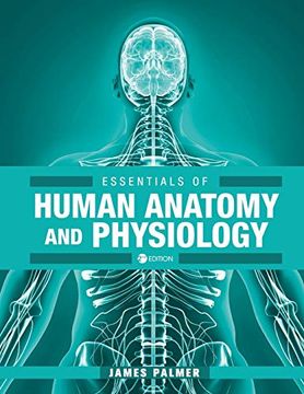 portada Essentials of Human Anatomy and Physiology (in English)