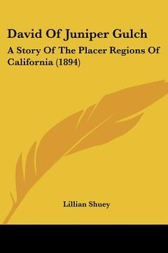 portada david of juniper gulch: a story of the placer regions of california (1894) (in English)