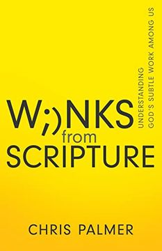 portada Winks From Scripture: Understanding God’S Subtle Work Among us (en Inglés)