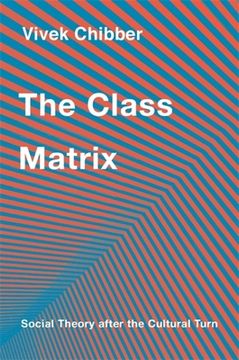 portada The Class Matrix: Social Theory After the Cultural Turn (in English)