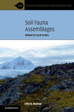 portada Soil Fauna Assemblages: Global to Local Scales (Ecology, Biodiversity and Conservation) (en Inglés)
