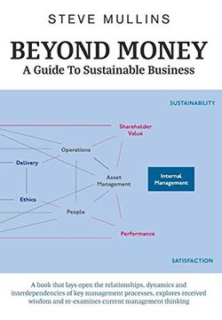 portada Beyond Money: A Guide to Sustainable Business (en Inglés)