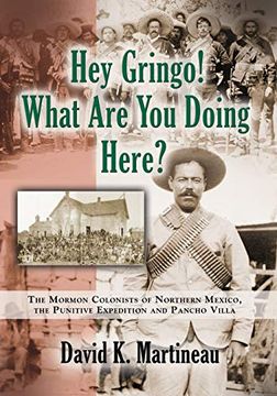 portada Hey Gringo! What are you Doing Here? (in English)