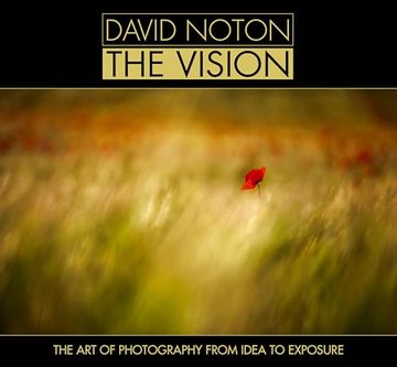 portada David Noton the Vision: The art of Photography From Idea to Exposure (en Inglés)