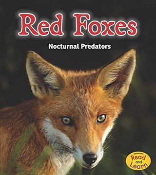 portada Red Foxes: Nocturnal Predators Format: Paperback (en Inglés)