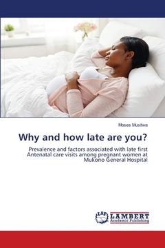 portada Why and how late are you? (en Inglés)
