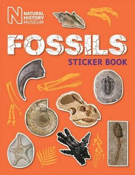 portada Fossils Sticker Book