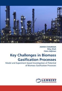 portada key challenges in biomass gasification processes