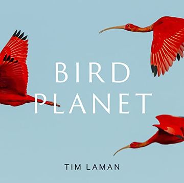 portada Bird Planet: A Photographic Journey 