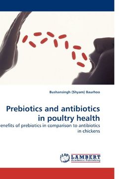 portada Prebiotics and antibiotics in poultry health: Benefits of prebiotics in comparison to antibiotics in chickens