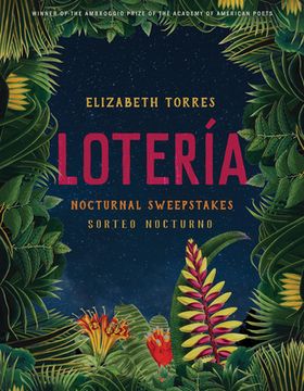 portada Lotería: Nocturnal Sweepstakes (in Spanish)