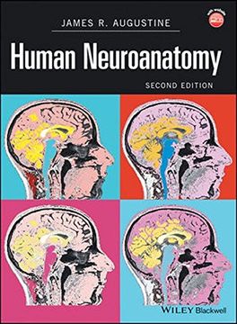 portada Human Neuroanatomy