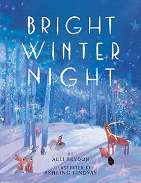 portada Bright Winter Night (en Inglés)