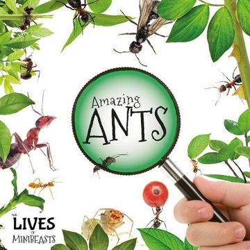 portada Amazing Ants (The Lives of Minibeasts)