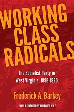 portada working class radicals: the socialist party in west virginia, 1898-1920 (in English)