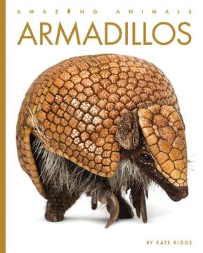 portada Armadillos (in English)